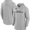Arizona Cardinals 2024 Salute To Service Long Sleeve Hooded T-Shirt
