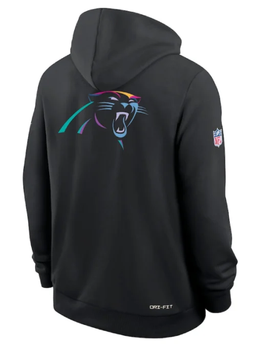 Carolina Panthers Black 2025 Crucial Catch Sideline Dri-FIT Hoodie